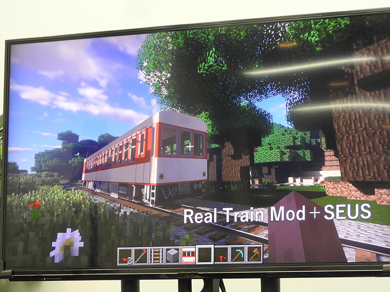 こちらもSEUS＋Real Train Modによる風景