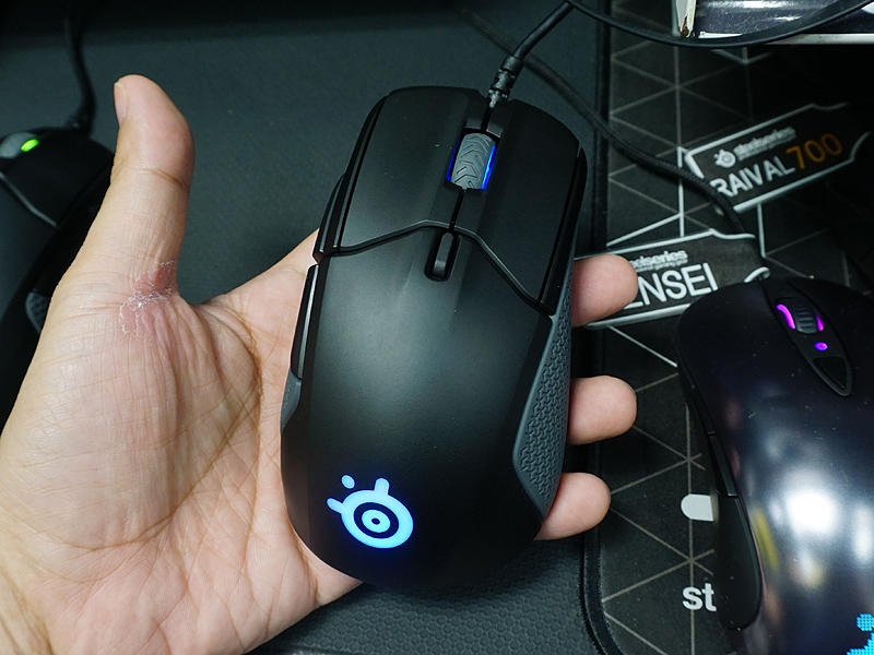 Rival 310