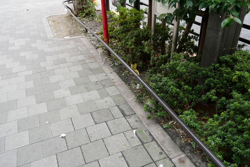 路上には、大きなゴミは少なかったが、小さな紙くずなどが目立った。また、秋葉原のある千代田区は路上喫煙禁止にも関わらず、たばこの吸い殻が多く見られたのも気になった