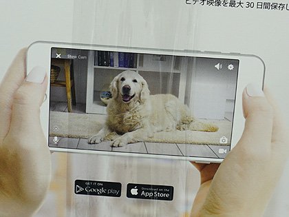 外出先から話しかけたり遊ぶ事もできるペット用見守りカメラ