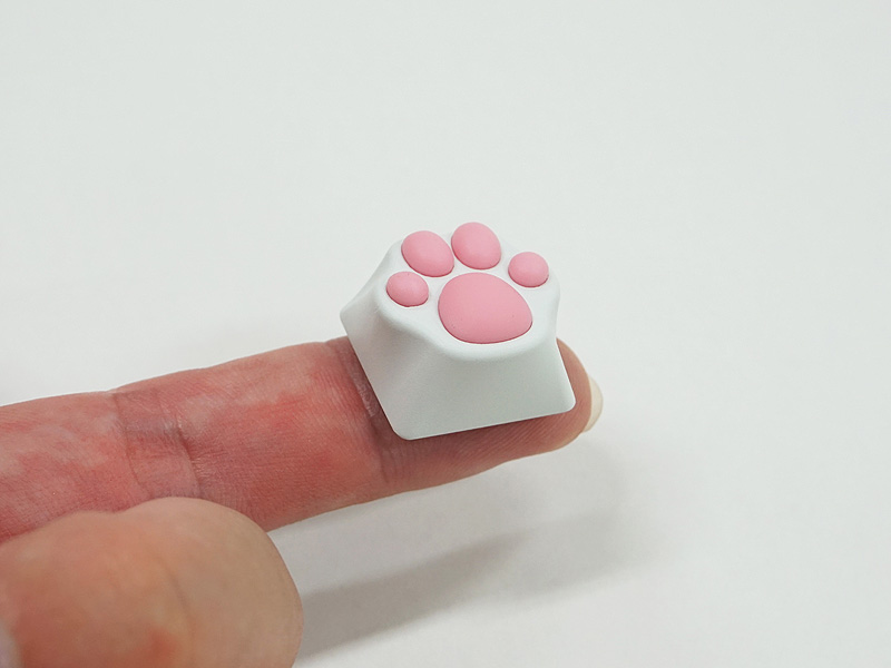 本体側面の様子