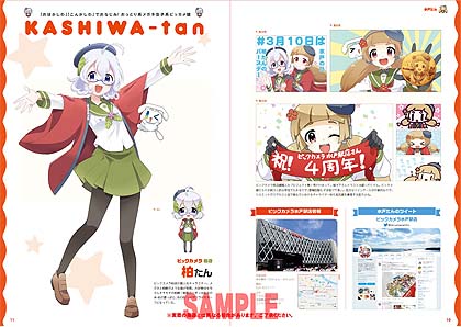 ビッカメ娘　ビジュアルブック他 まとめ ビックカメラ店舗擬人化プロジェクト ビッカメ娘 ビジュアルブック