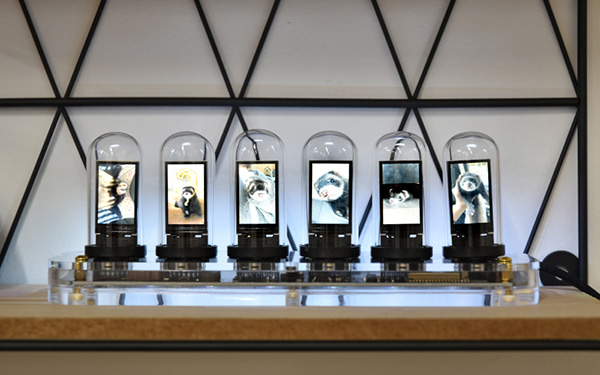 土台が透明なニキシー管風置時計「Cyber punClock ghost」がサンコー