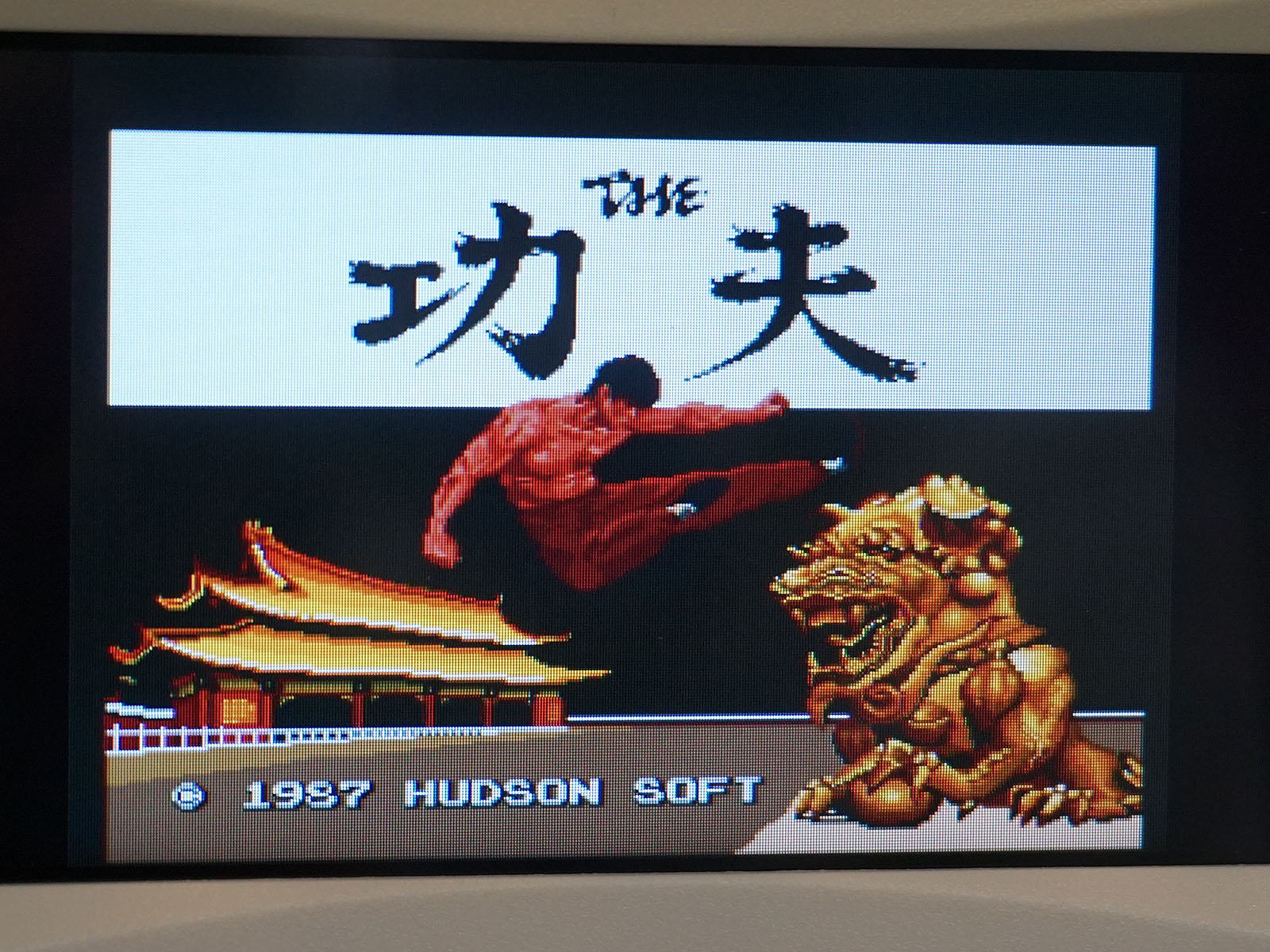 ポータブルモニター IPS LCDの映像