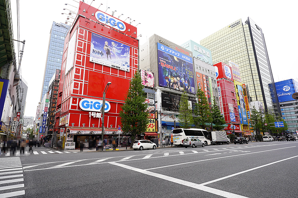 発売解禁に合わせ秋葉原のショップを回ってみました。