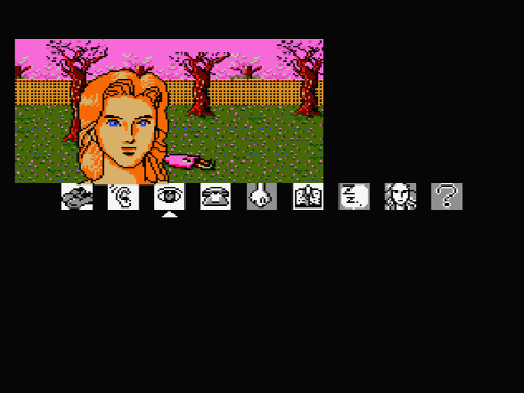 動作保証品 MSX2 ROM 京都龍の寺殺人事件 山村美紗 タイトー TAITO 箱 
