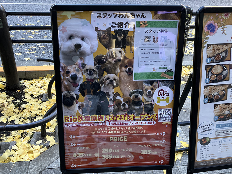 犬カフェ「Rio秋葉原店」が12月23日（土）にオープン、場所は<a href="https://www.annew.jp/building/akihabara/" class="deliver_inner_content i">HULIC&New AKIHABARA</a>の3F