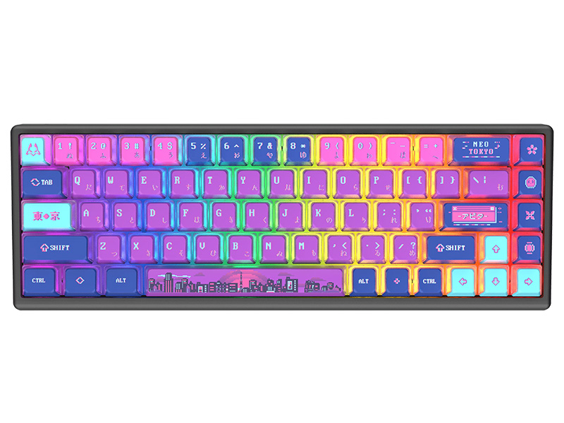 Neo Tokyo Polar 65