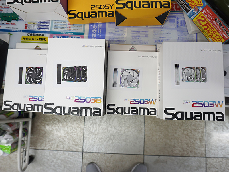 「Squama 2503」
