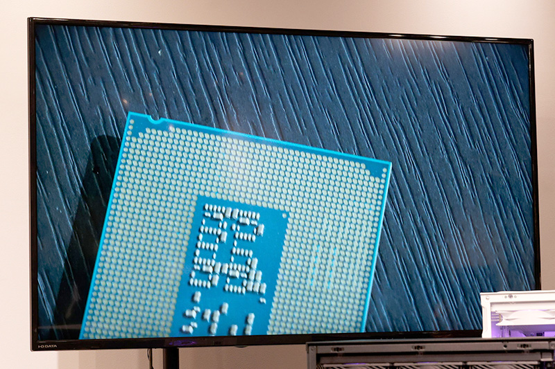 楕円に見えるのが実際のピンで、左右1列の丸の形に見えるものはピンとして数えてはいけなかった