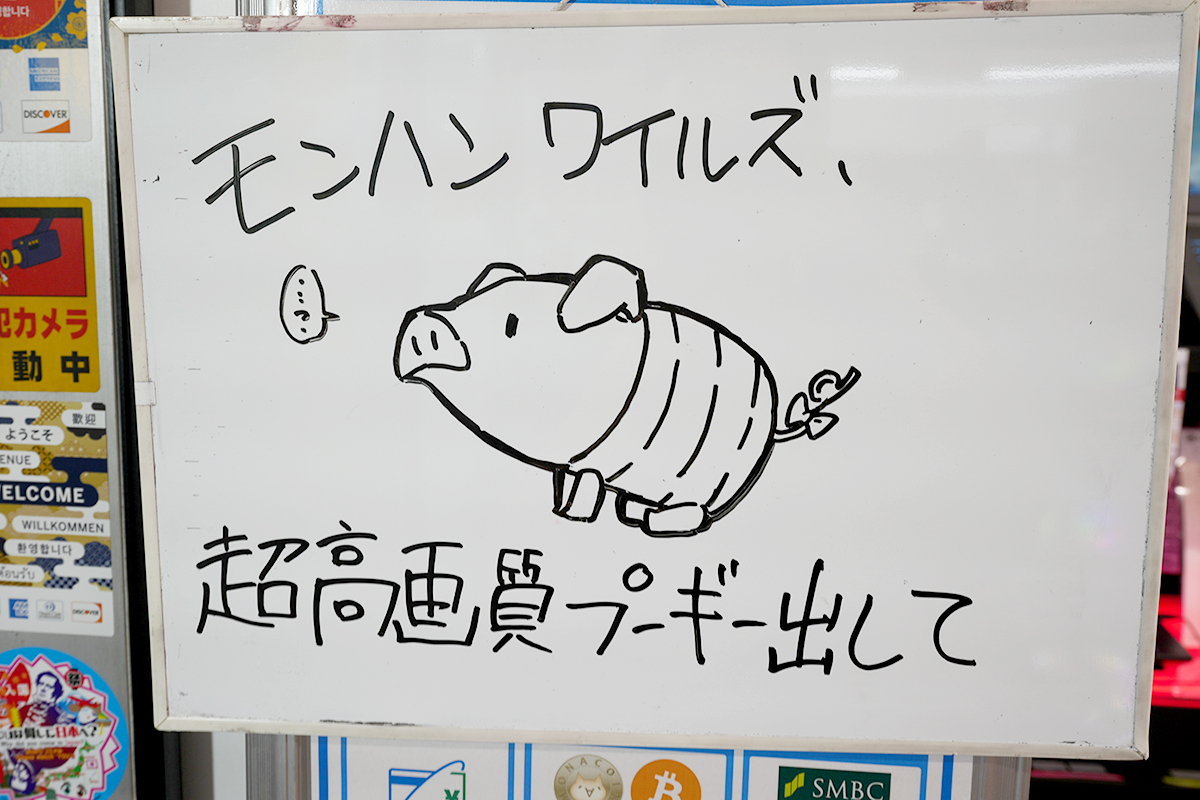 10月4日撮影