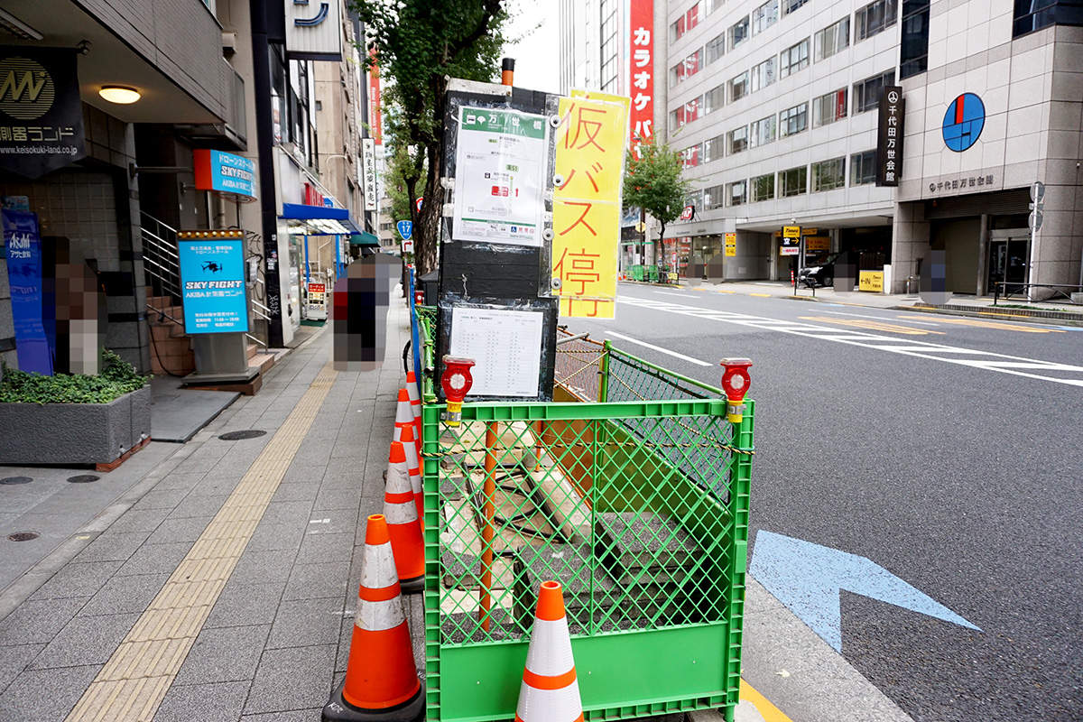 11月16日撮影