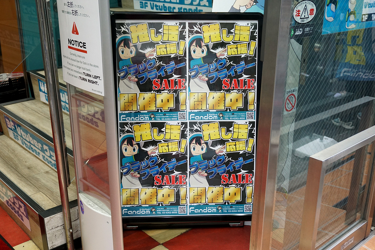 11月16日撮影