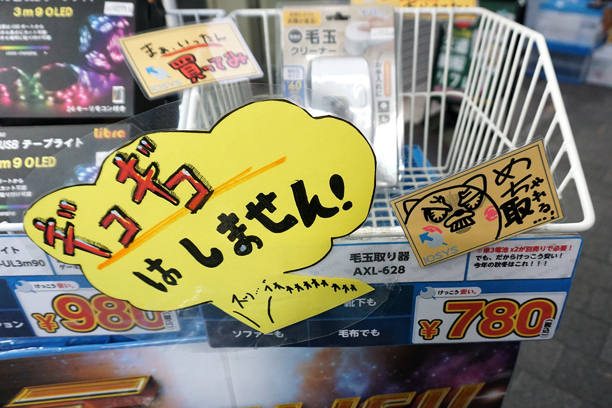 11月16日撮影