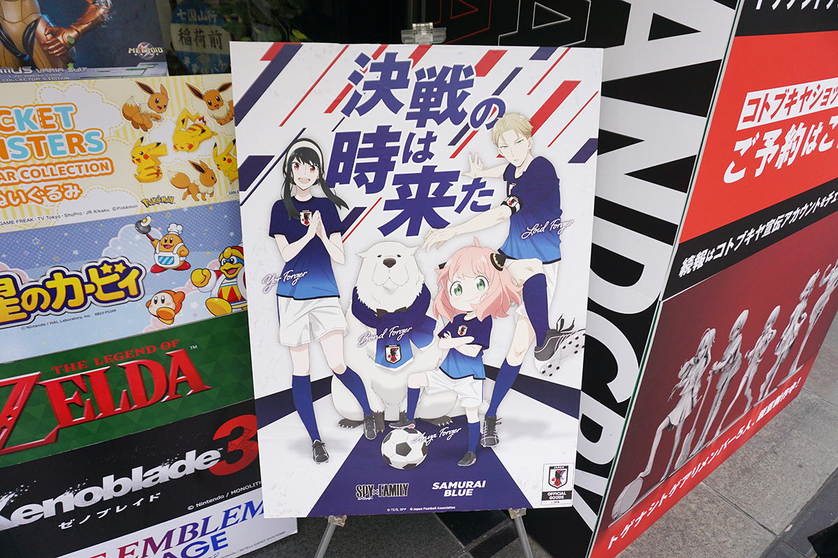 11月16日撮影