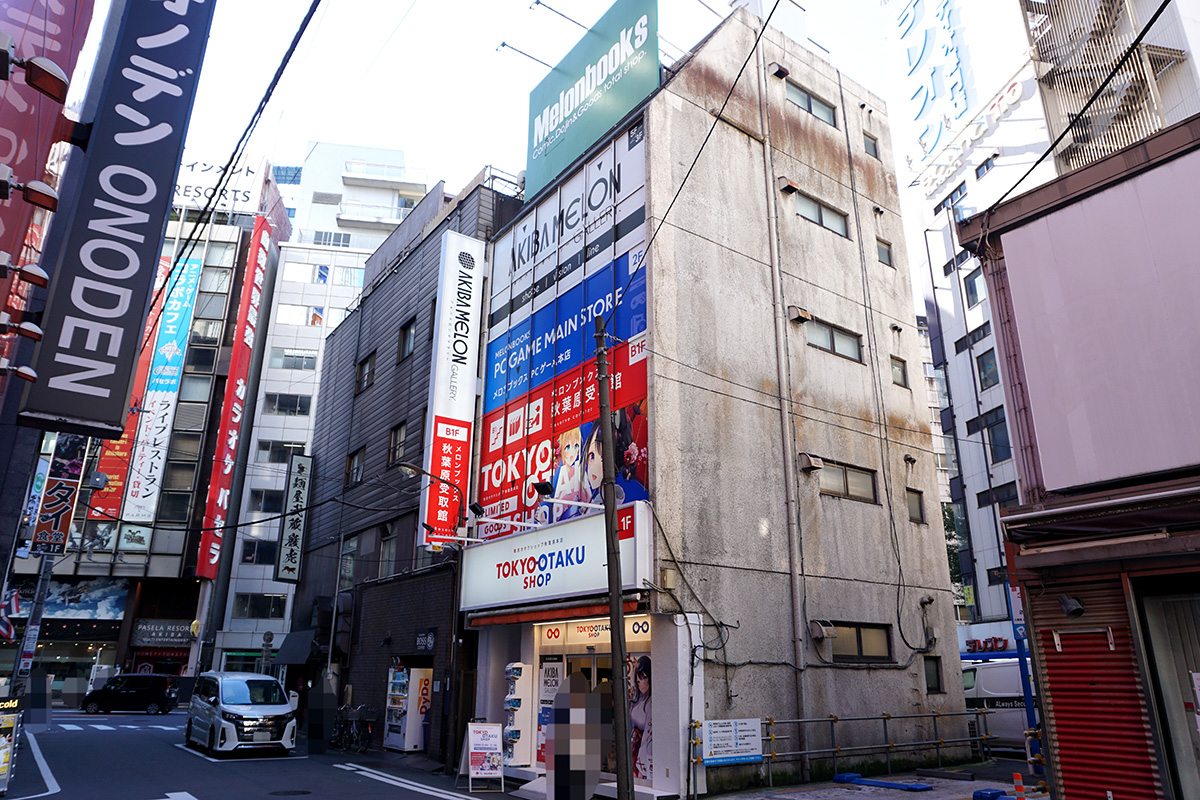11月23日撮影