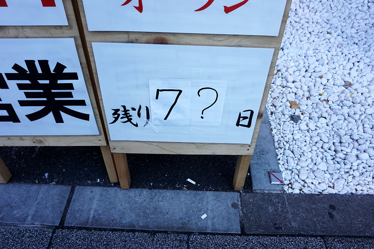 11月23日撮影