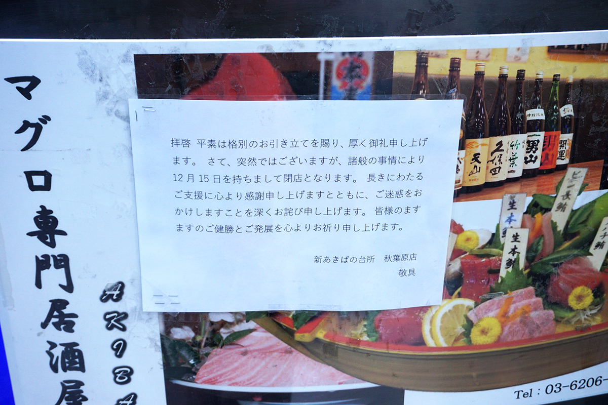 12月14日撮影