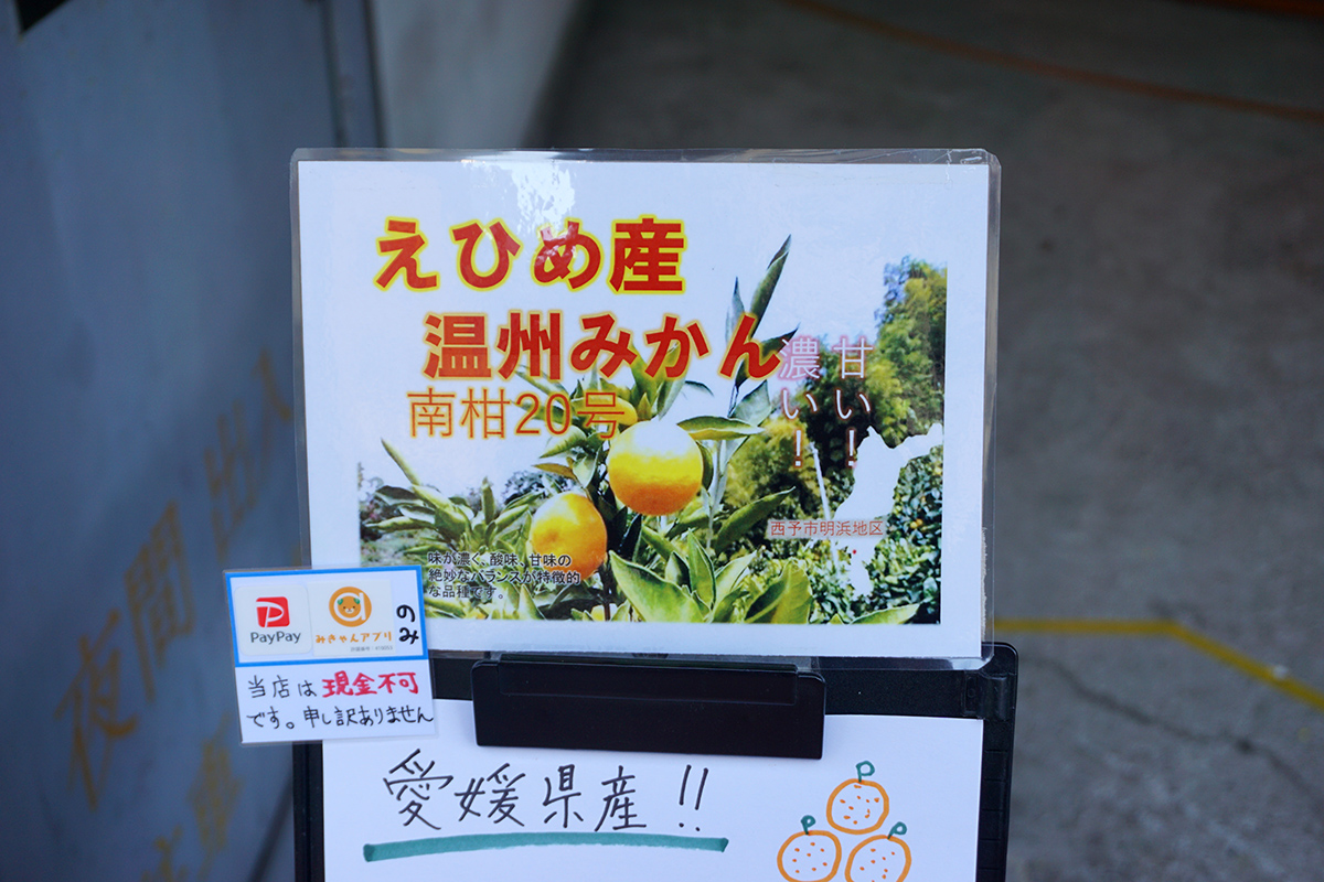 12月14日撮影