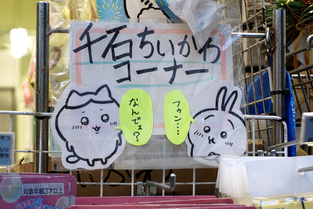 (1月4日撮影)