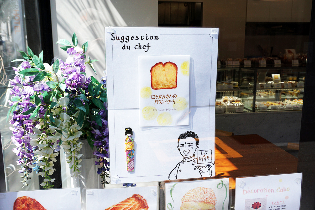 Laglycine(3月22日撮影)