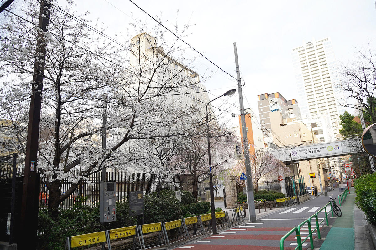 千代田区立芳林公園(3月29日撮影)