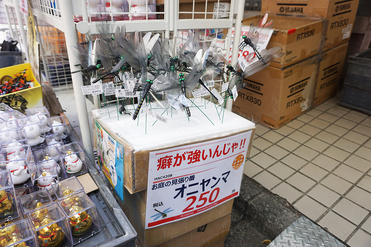 浜田電機(5月3日撮影)