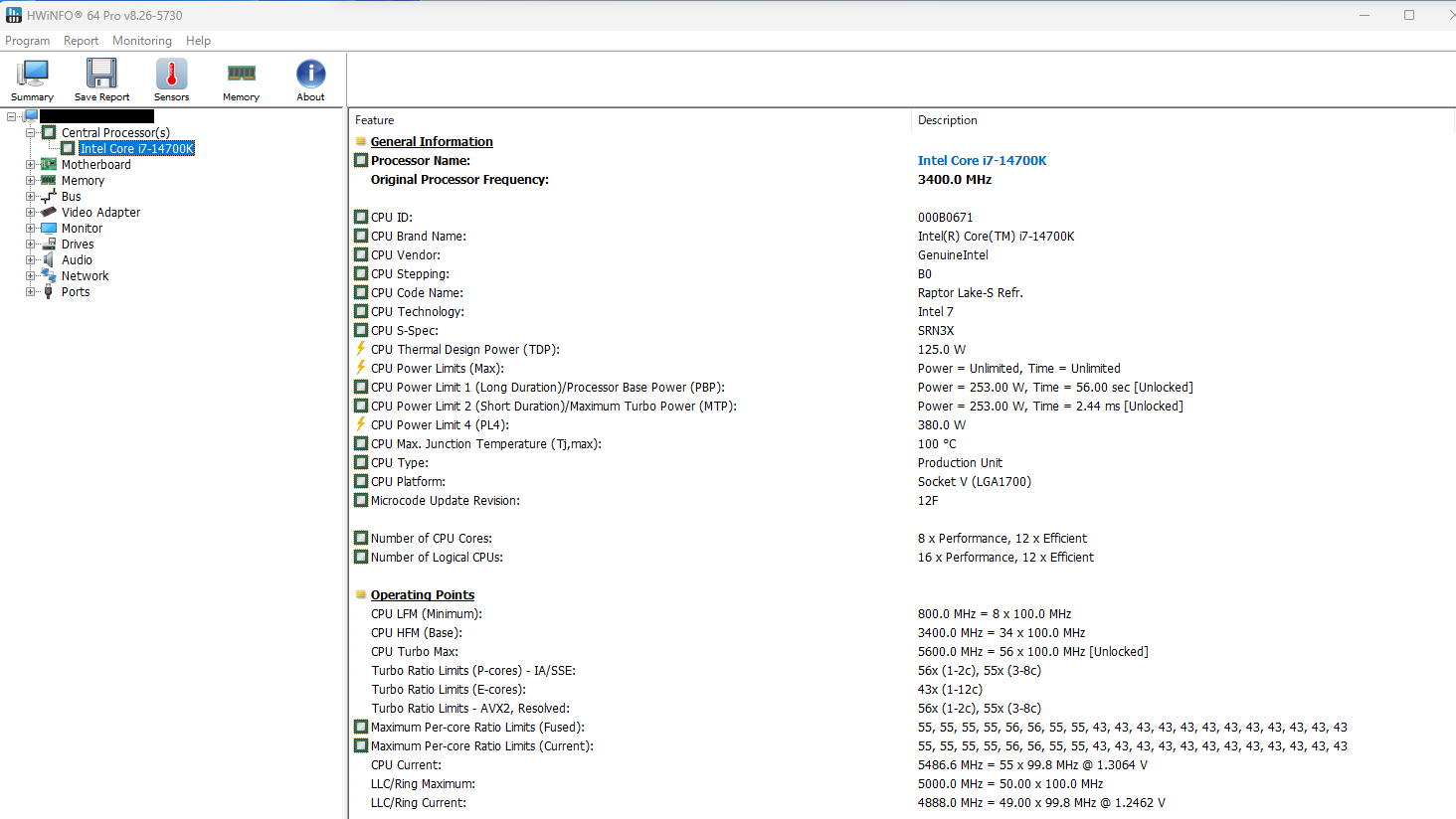 HWiNFO64 Proで表示したCPUの動作設定。電力リミットは「PL1＝PL2＝253W」に設定されている