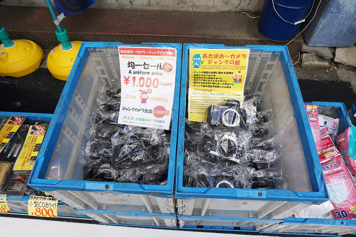 あきばお～零(6月7日撮影)