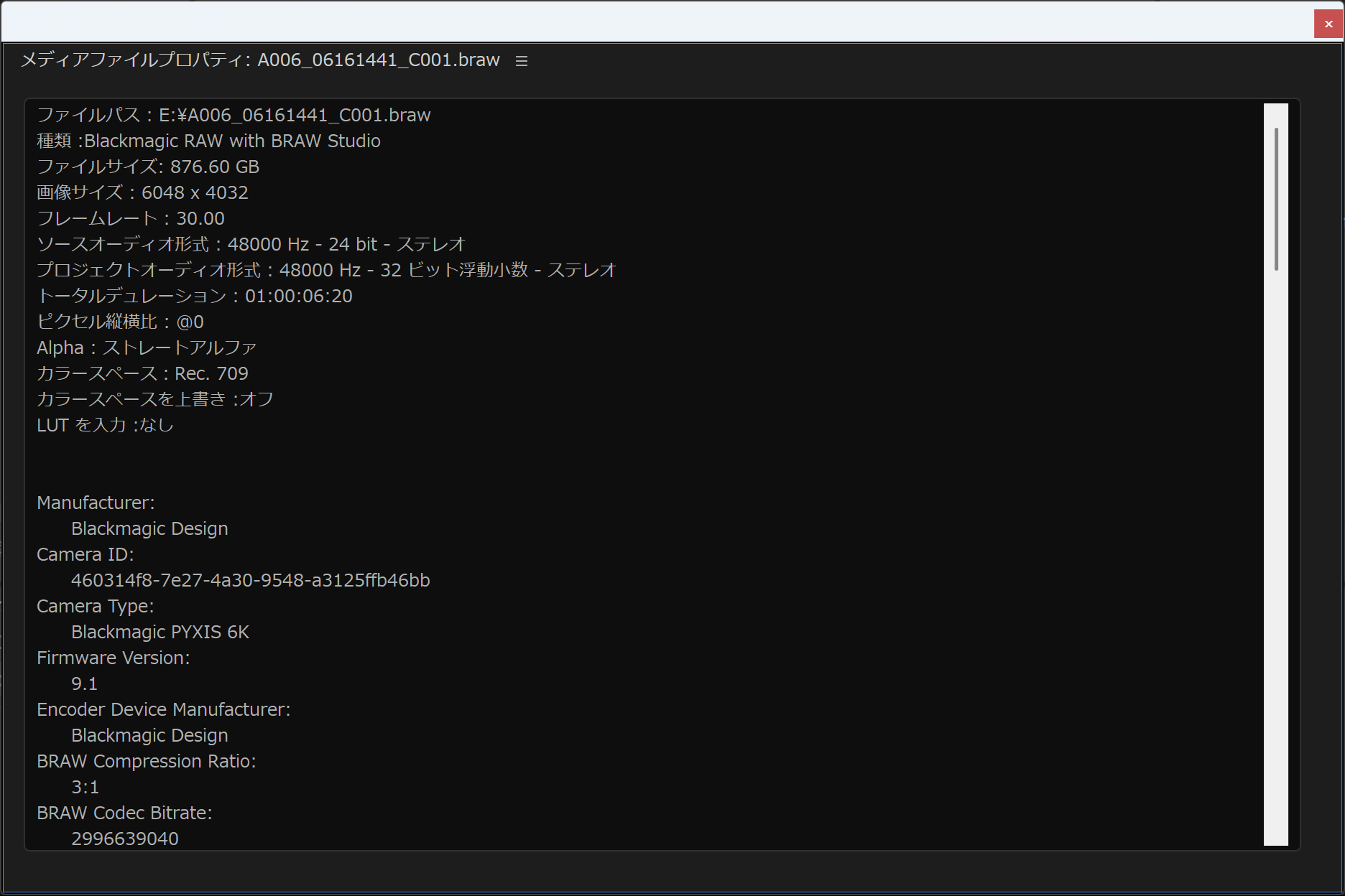 T-CREATE P31 External SSD Blackの1TBモデルで撮影した動画のプロパティ