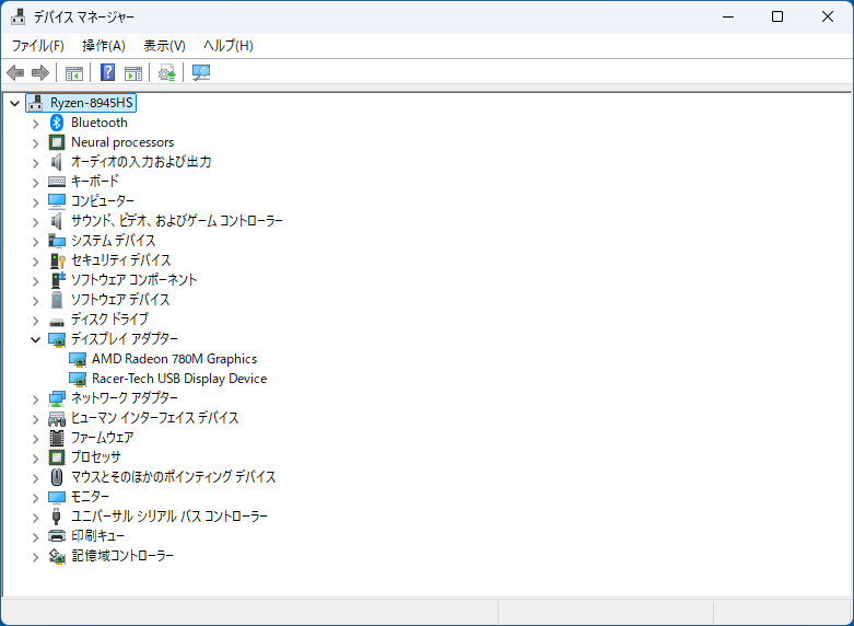 デバイスマネージャを見ると、ディスプレイアダプターの欄に「Racer-Tech」というメーカーのUSBディスプレイアダプターが登録されていた