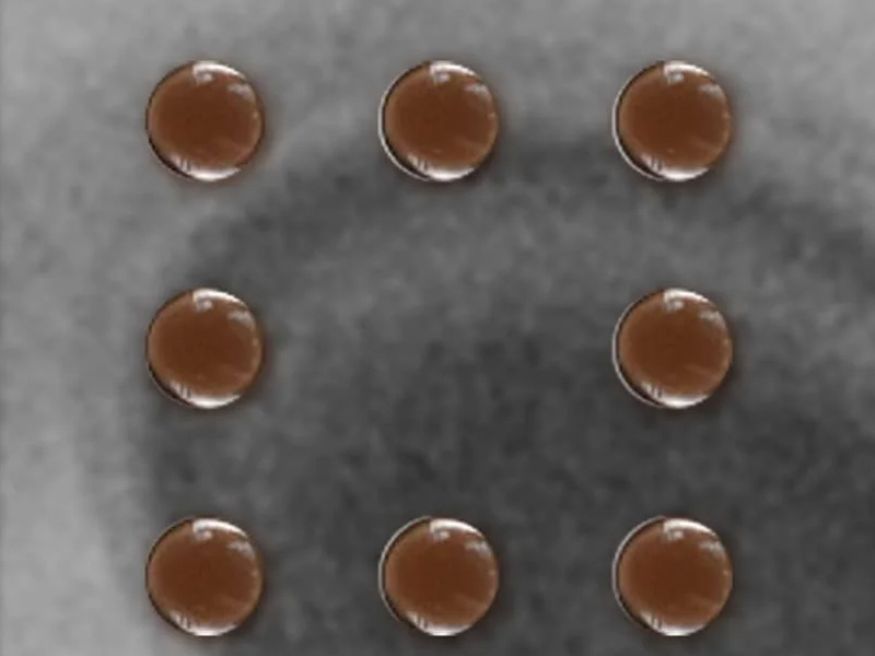 Gaze Dot Brown