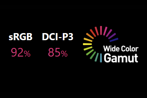 色再現もそれほど高くなく、RAPID VA液晶パネルが表示の高速性に特化したものであることが伺える