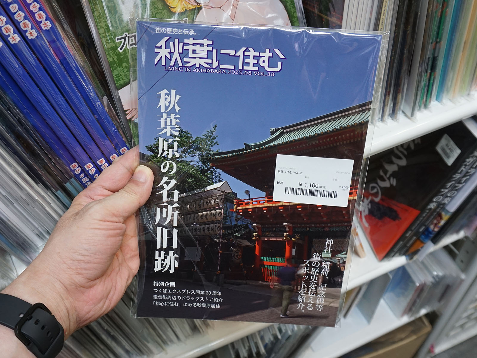 秋葉に住む VOL.38(1,100円)
