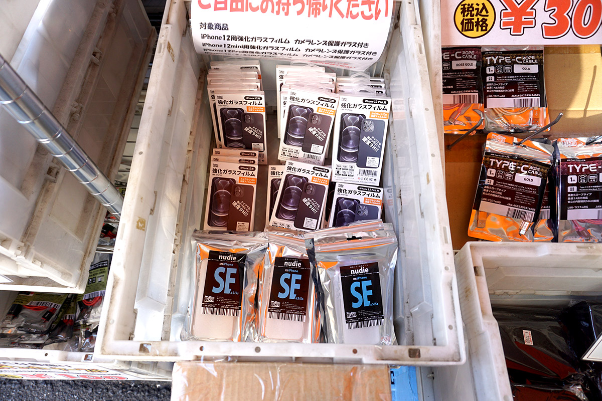 セルスタR(8月30日撮影)