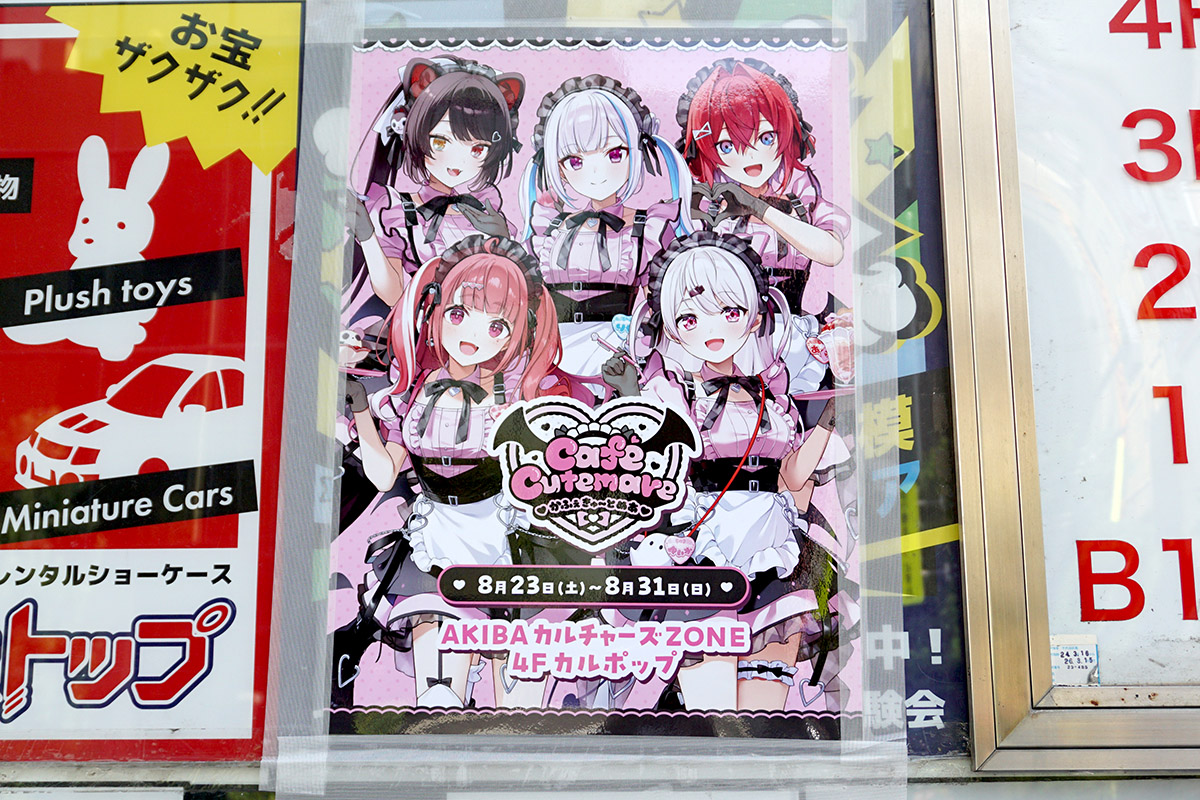 カルポップ(8月29日撮影)