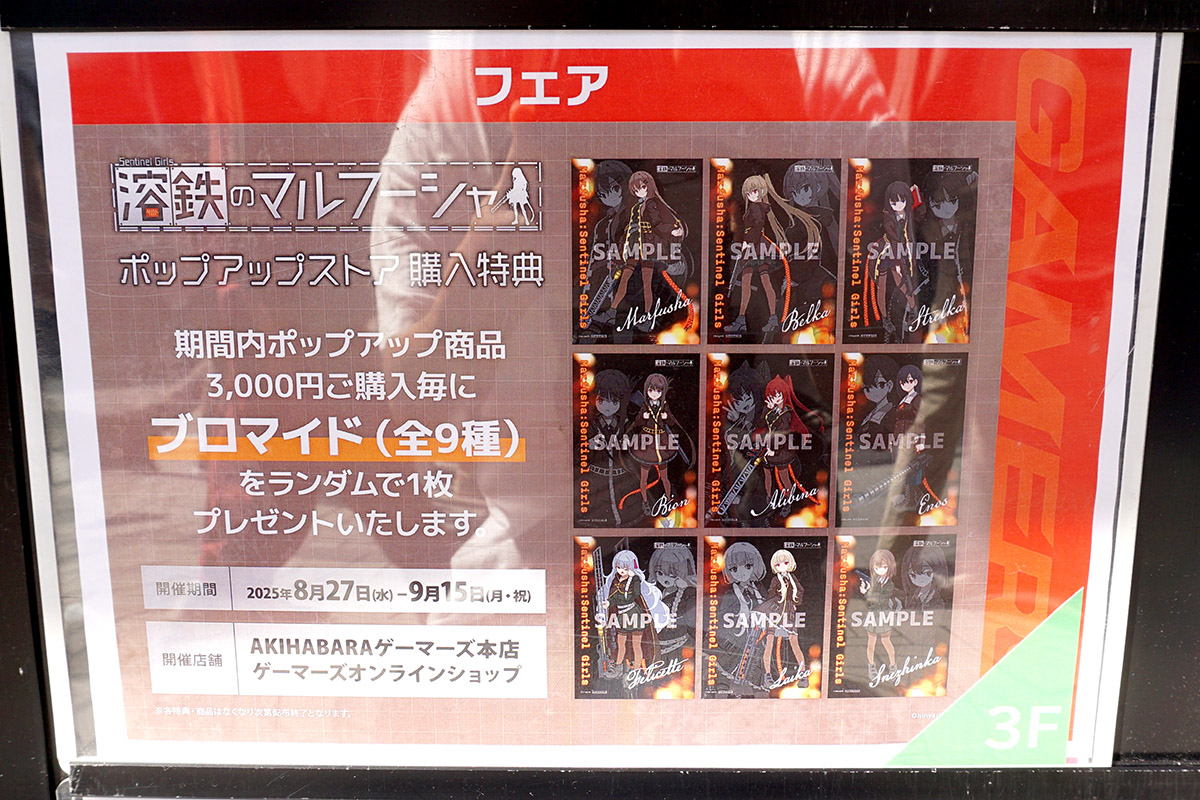 AKIHABARAゲーマーズ本店(8月30日撮影)