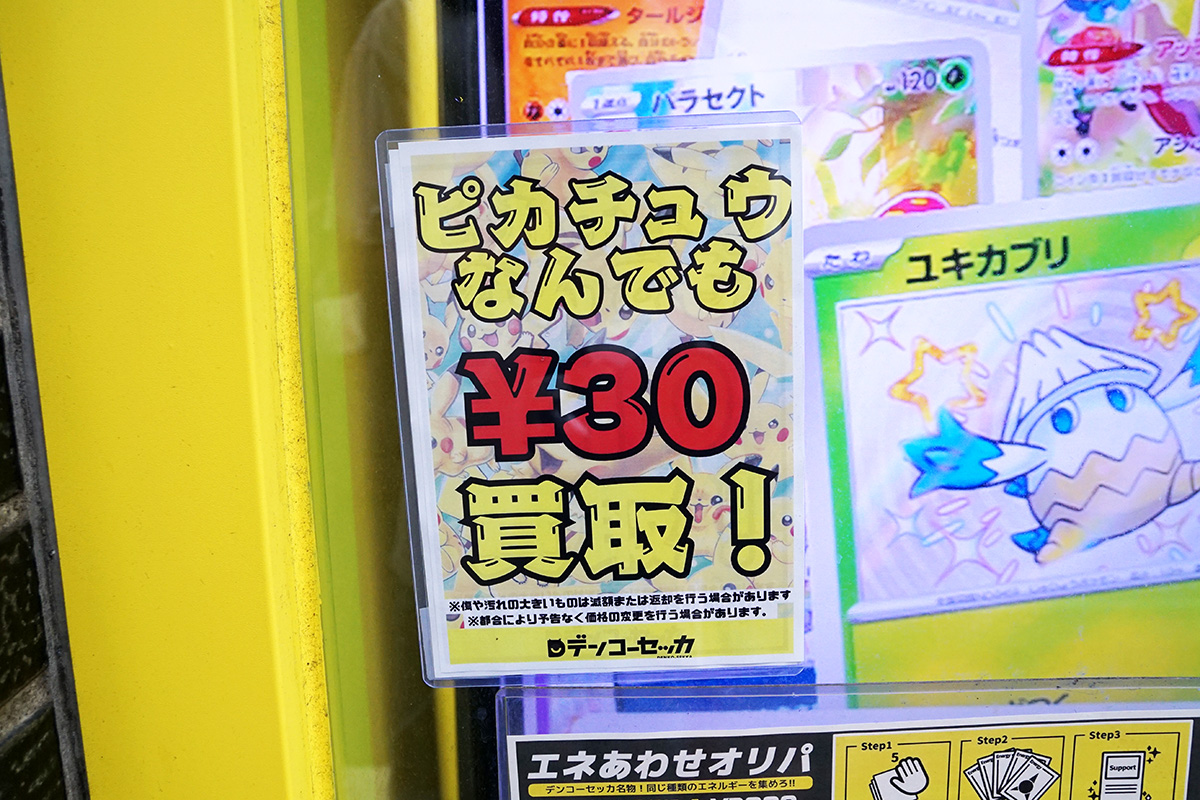 デンコーセッカ(10月11日撮影)