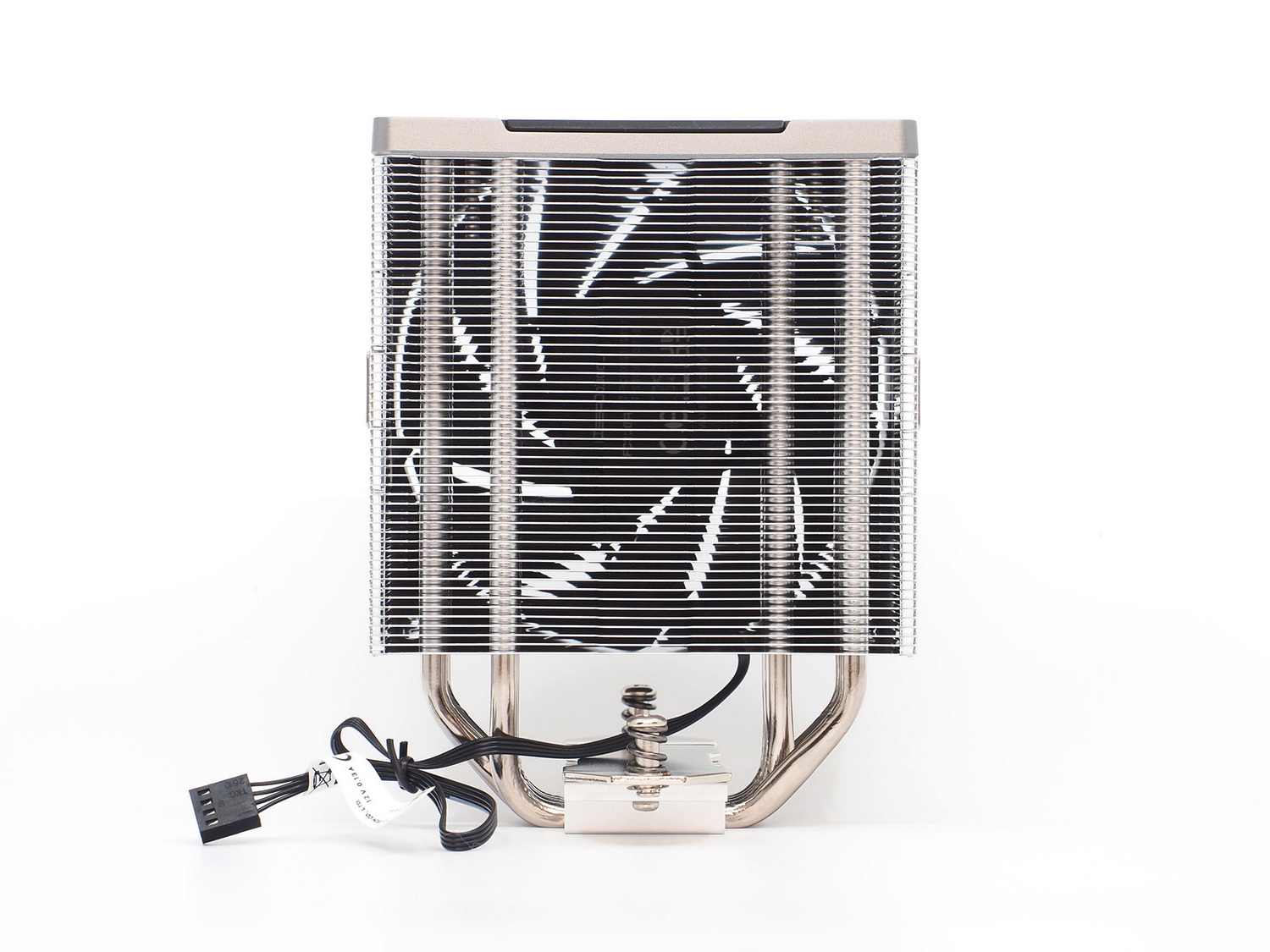 側面および裏面