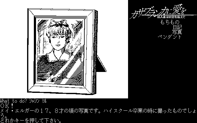 ゲーム画面はすべてモノクロ画面なのですが、ピントがもやっとしている古い映画やテレビの白黒番組を見ている感覚はなく、黒地に白色が付いているイラスト、という雰囲気になっています。CGなので境界線がパキッとしているから、なのかもしれません。