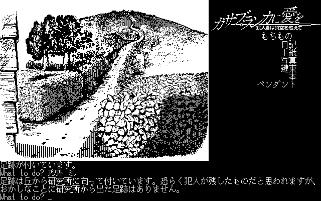 ゲーム画面はすべてモノクロ画面なのですが、ピントがもやっとしている古い映画やテレビの白黒番組を見ている感覚はなく、黒地に白色が付いているイラスト、という雰囲気になっています。CGなので境界線がパキッとしているから、なのかもしれません。