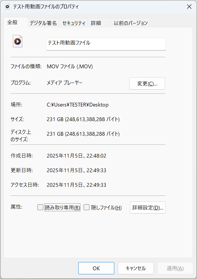 テスト用ファイルのプロパティ。Windowsはデータ容量において「2進接頭辞の数え方でSI接頭語を使う」という慣例に倣った適切でない表記を継続しているため231GBとなっているが、適切に表記するなら231GiBまたは248GBとなる