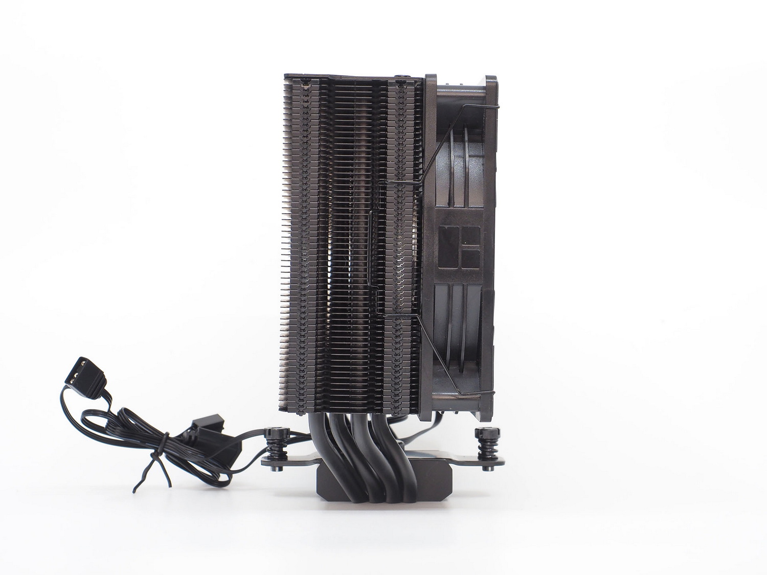 側面および裏面