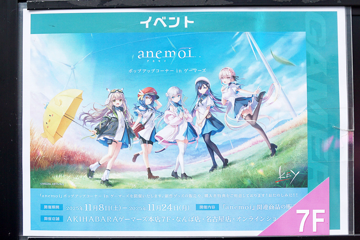 AKIHABARAゲーマーズ本店(11月8日撮影)
