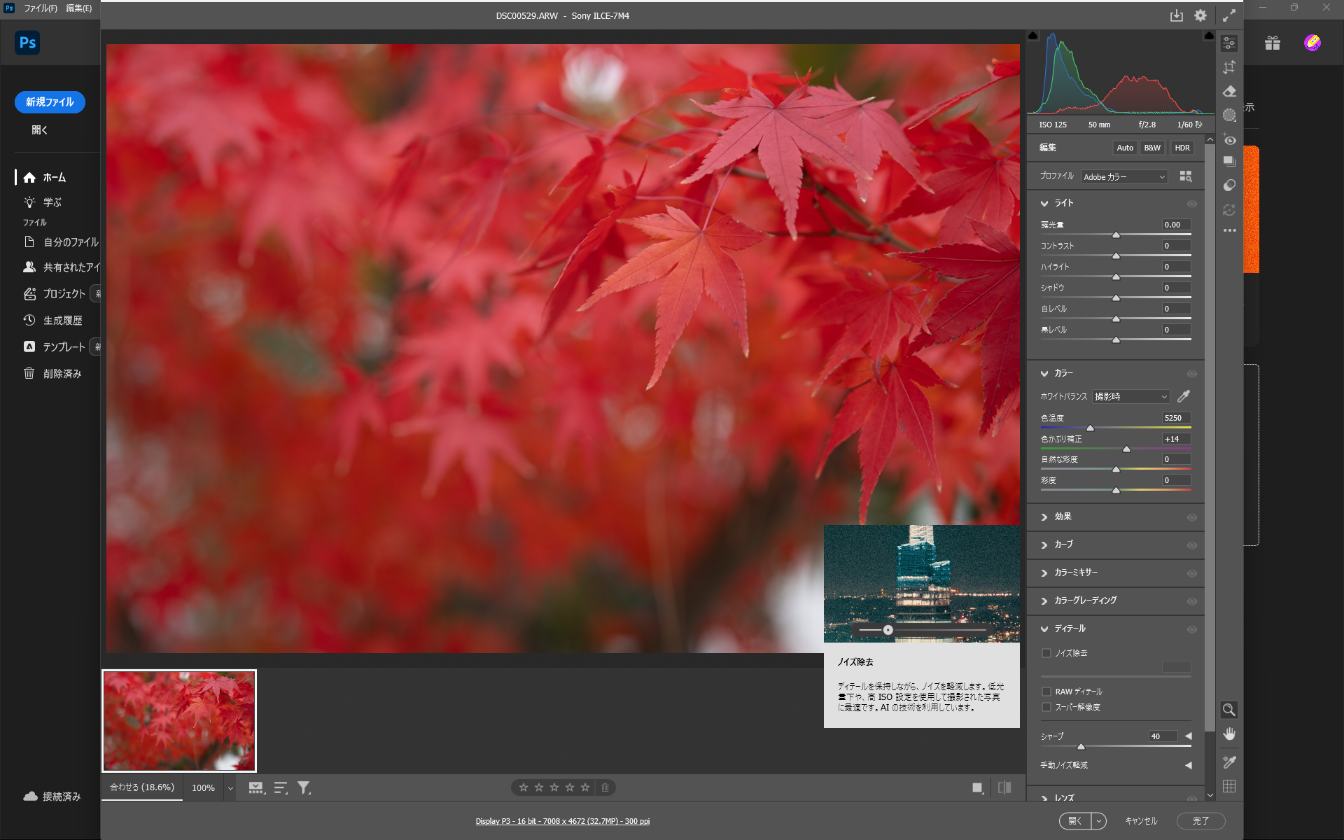 AdobeのCamera Raw内のノイズ除去は非常に有用な反面、処理が重め