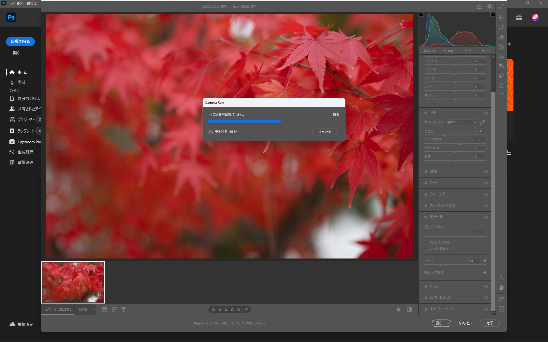 Radeon 880Mで処理した際の様子、40～50秒ほどで処理が可能