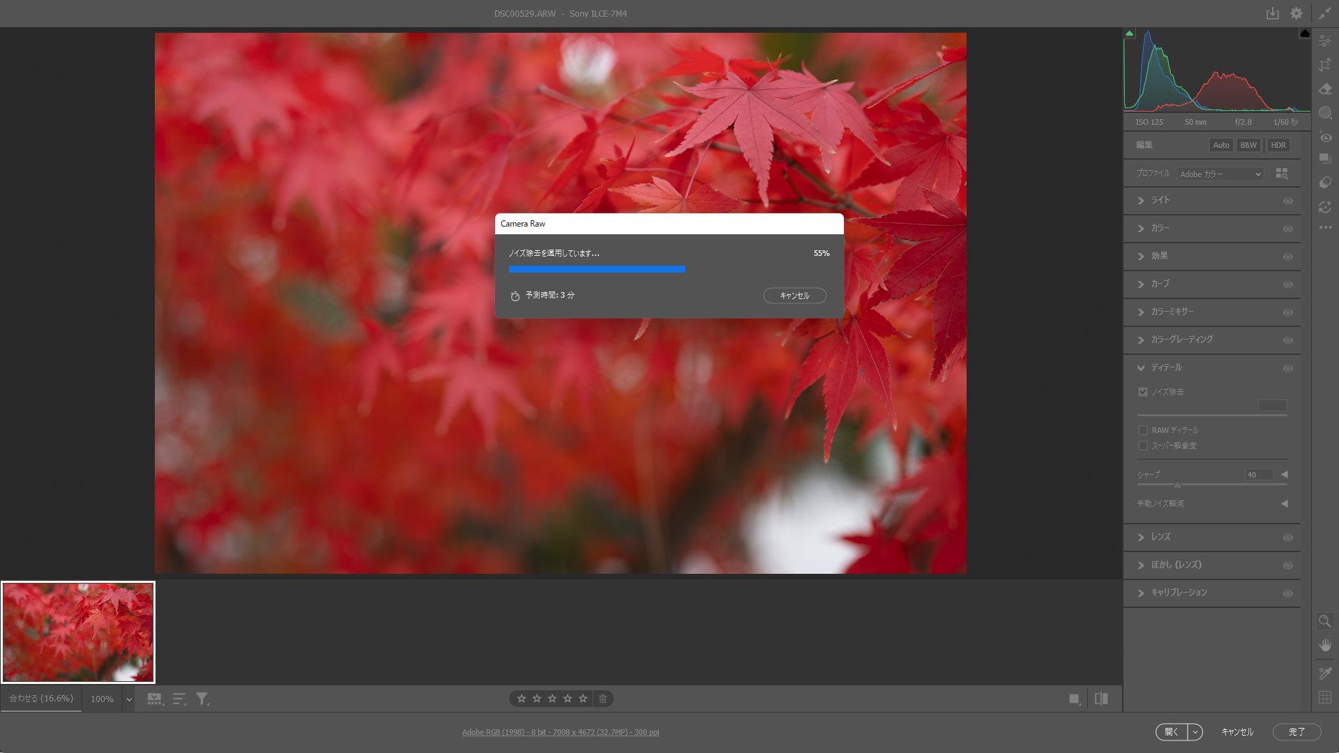 GPU性能が低い古いPCでの動作例、表示目安より長い時間が必要になることはざらで実際には6分ほどかかりました