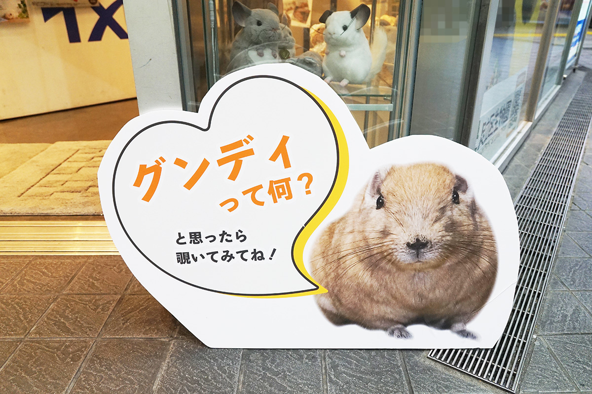 TX PLAZA 秋葉原(11月15日撮影)