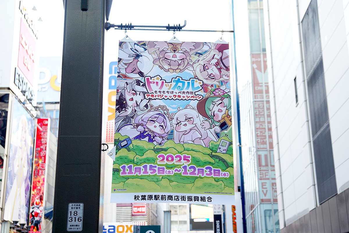 電気街南口(11月14日撮影)