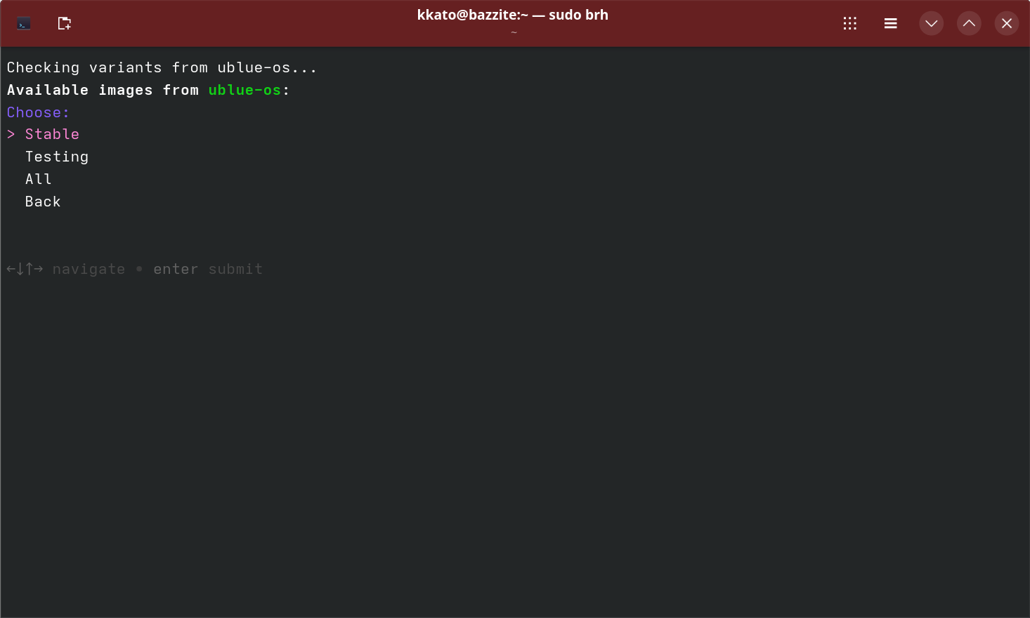 次に安定版(Stable)かテスト版(Testing)かを選択する。一般ユーザーの場合Testingを選択するメリットはほぼない